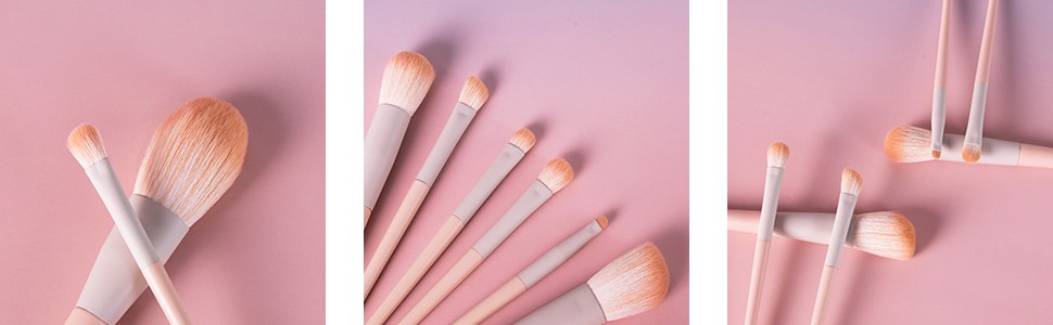 Ensemble de 6 pinceaux de maquillage professionnels